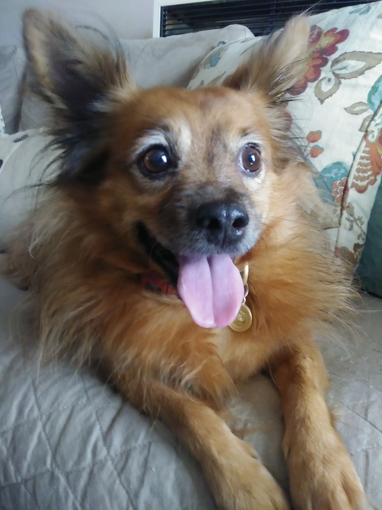 Sophia